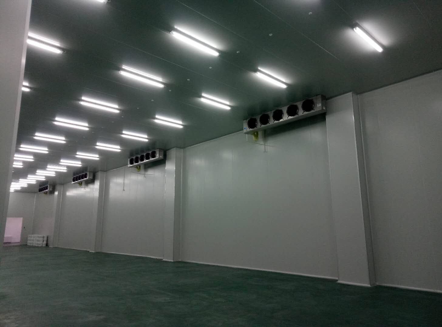 建造-35℃～-40℃急凍庫設計費用價格多少錢？