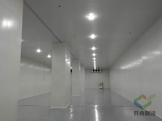 建設醫(yī)藥冷藏庫的安裝標準有哪些？