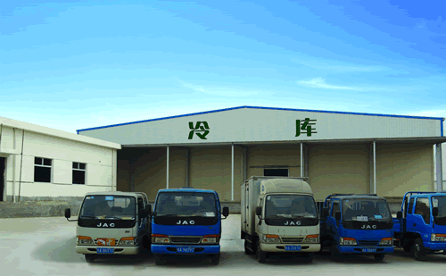裝配式冷庫(kù)建造發(fā)展，冷庫(kù)建造的好處
