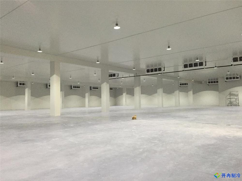 浙江建-60℃金槍魚超低溫冷庫(kù),冷庫(kù)總價(jià)預(yù)算多少
