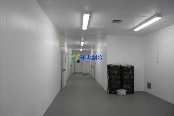 定制酒店冷凍庫(kù)、食堂雙溫庫(kù)、餐飲冷藏庫(kù)工程造價(jià)